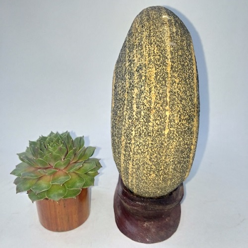 Suiseki-Đá tự nhiên mô tả phong cảnh SK011