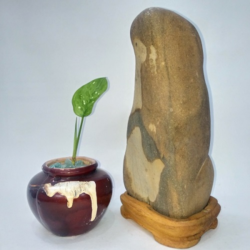 Đá cảnh tự nhiên Suiseki SK013