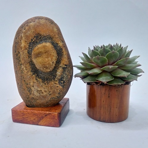 Đá cảnh tự nhiên Suiseki SK016