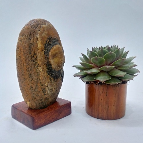 Đá cảnh tự nhiên Suiseki SK016