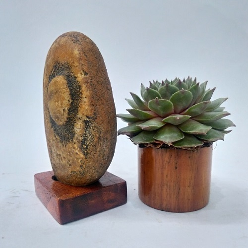 Đá cảnh tự nhiên Suiseki SK016