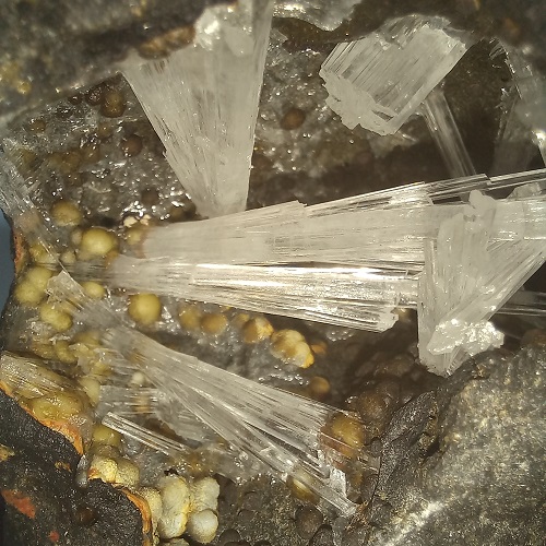 Hốc trứng đá hoa ưu đàm HD006