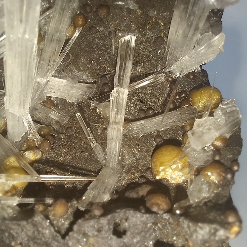 Hốc trứng đá hoa ưu đàm HD006