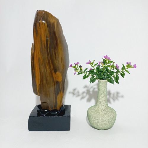 Gỗ hóa thạch phong thủy GHT005 Gỗ hóa thạch phong thủy GHT005