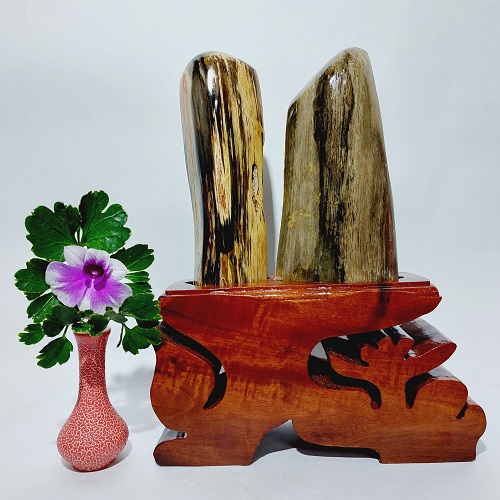 Gỗ hóa thạch phong thủy GHT006 Gỗ hóa thạch phong thủy GHT006