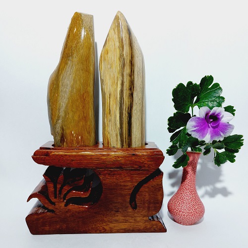 Gỗ hóa thạch phong thủy GHT009 Gỗ hóa thạch phong thủy GHT009